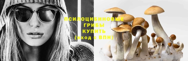 амф Алзамай