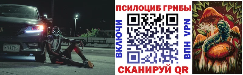 Галлюциногенные грибы прущие грибы  Дно 