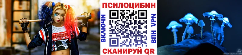 Галлюциногенные грибы прущие грибы Дно